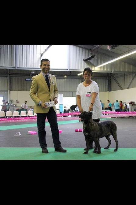 De La Tribu De Cheyenne - Cheyenne fait le meilleur de Race au Championnat de France!!!