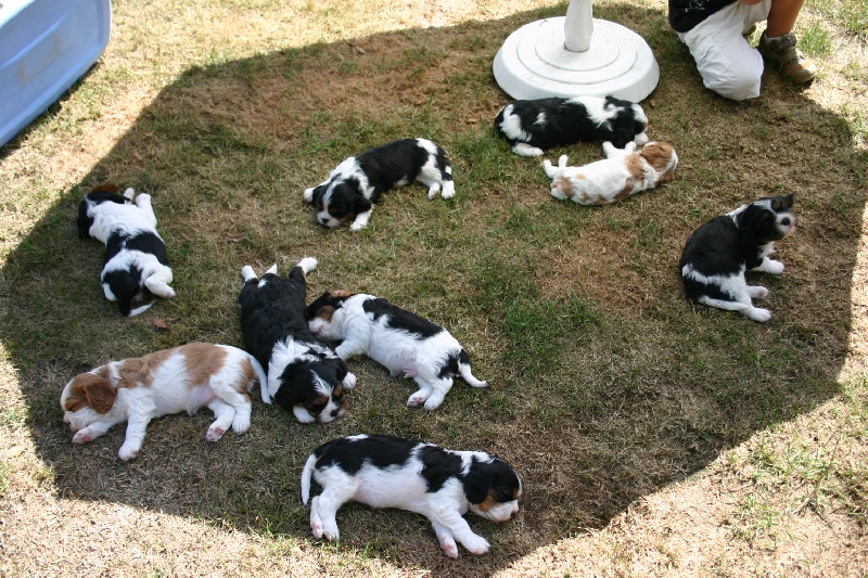 Les bébés De La Tribu De Cheyenne avant de retrouver leur famille.....